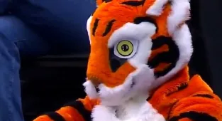 Clemson mascot's reaction to March Madness loss to McNeese goes viral