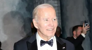 Dems waited for Biden to 'die in office' or withdraw from race: book