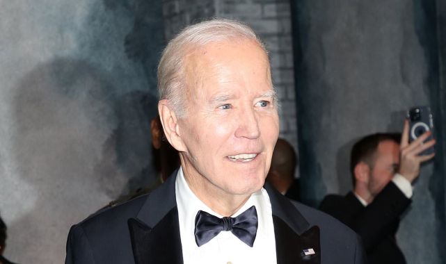 Dems waited for Biden to 'die in office' or withdraw from race: book