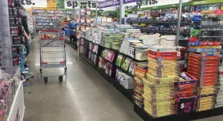 Discount store 'cheaper than Dollar Tree' to open 150 new locations
