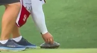 Golfer's caddie picked up a turtle... and what happened horrified fans