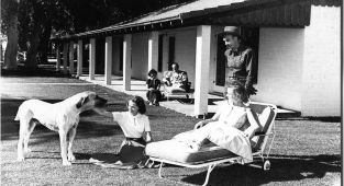 Inside the divorce ranches where wealthy women kept break-ups secret