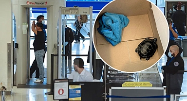 New Jersey Havalimanında şaşırtıcı olay: Yolcunun pantolonundan canlı kaplumbağa çıktı!