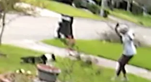 Pit bull attacks woman in her garden and rips part of her face off