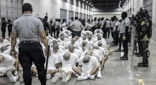 Shocking audio of judge defending deported Venezuelan gangsters