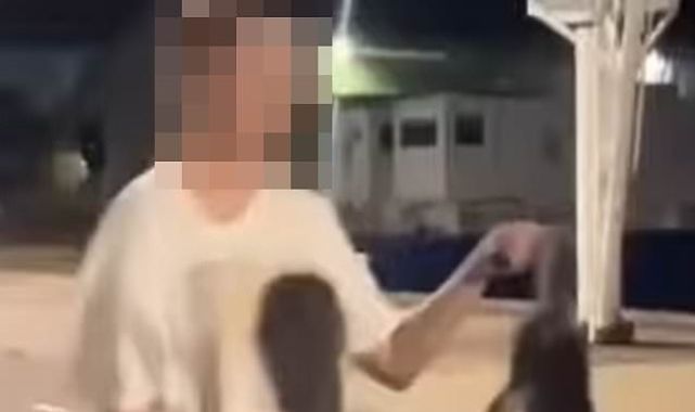 Sickening moment a young woman does the unthinkable to a cat