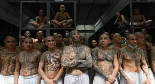 Top MS-13 leader arrested in VIRGINIA, Trump administration reveals