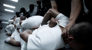 Trump threatens to send Tesla vandals to Salvadoran mega-prison