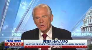 Trump's trade guru slaps down predictions tariffs will tank economy