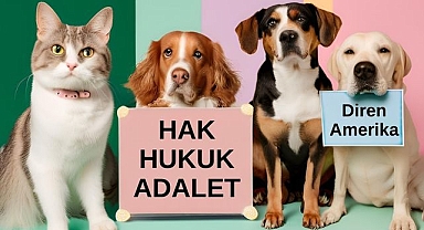 ABD'de 'Patiler Direnişte' eylemi: Hayvanlar, İmamoğlu ve tutuklu gençler için ses veriyor