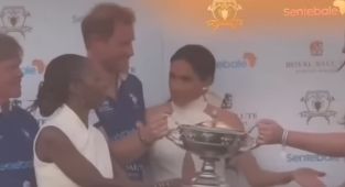 AMANDA PLATELL: Harry accusations are a catastrophe for the Sussexes