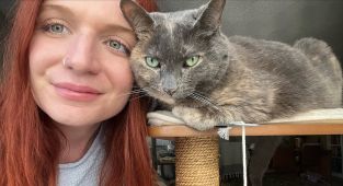Americans banned from travelling after using petsitting 'hack'
