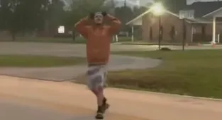 Astonishingly camp antics of thief after crashing stolen car