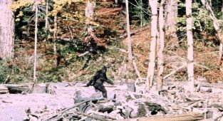 Bigfoot's shocking SEX secret revealed by expert