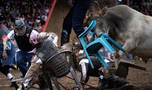 Bizarre red state event where criminals can get injured by animals