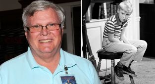 Dennis the Menace star Jay North dead at 73