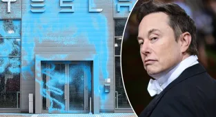 'Disaster on every metric': Tesla sales tumble amid Musk backlash
