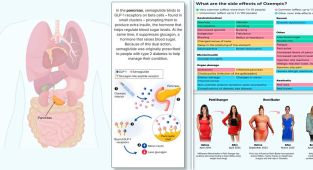 Exactly what Ozempic does INSIDE your body