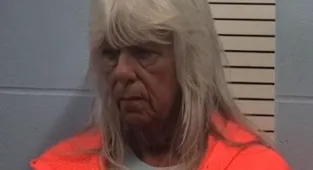 Foster mum accused of trading young girl for monkey