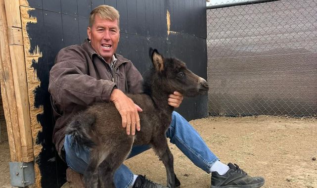 Grim update in hunt for vet who vanished after animal abuse video