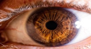 Have scientists discovered a new colour called ‘olo’?