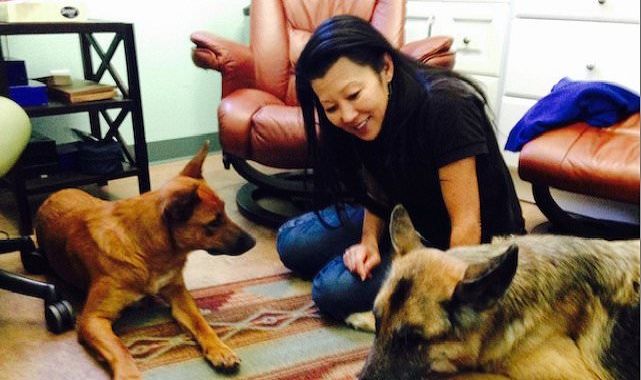 How Gene Hackman and wife's deaths have affected their surviving dogs