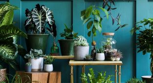 How to spruce up your home for summer without breaking the bank
