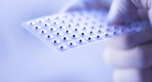I'm a scientist... here's the truth about trendy 'ear seeds'