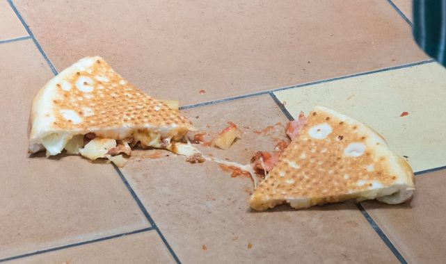 Is there any truth to 5-second rule? Scientists FINALLY settle debate