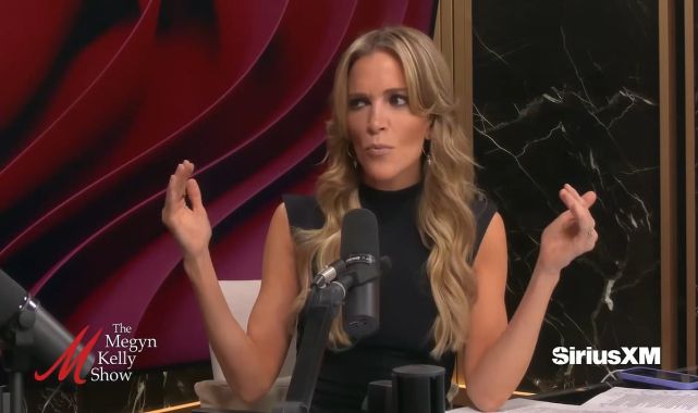 Megyn Kelly's scathing summary on Obamas' marriage amid split rumors