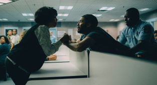 Netflix fans rave over 'the best limited series you'll ever watch'
