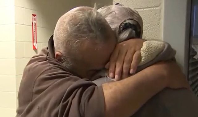 Nevada man demands return of his seven emotional support TIGERS