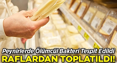 Peynirlerde Ölümcül Bakteri Tespit Edildi: Raflardan Toplatılıyor!