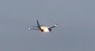 Plane makes emergency landing after rabbit gets sucked into engine