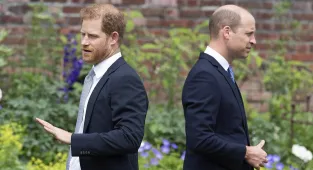 Prince Harry 'left in dark about father's condition' as 'rift deepens'