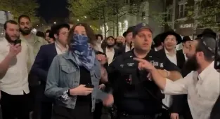 Pro-Israeli mob harasses woman in New York with ‘Death to Arabs’ chant