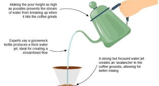Scientists reveal the formula for the perfect cup of coffee
