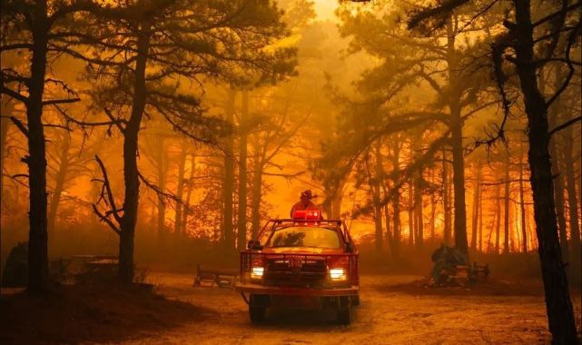Shocking cause of New Jersey wildfires