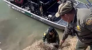 Shocking new video shows migrants hiding in bush to evade agents