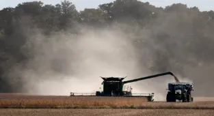 Soya beans: China and EU’s secret weapon against Trump’s tariff wars?