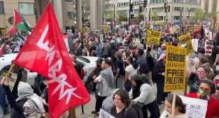 Thousands of anti-Musk protestors swarm city streets as Trump golfs