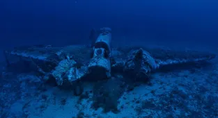 WWII bomber downed with British airman aboard is found 82 years later