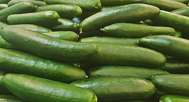 ABD'de 'salatalık' alarmı! Salmonella şüphesiyle ürünler raflardan toplatıldı