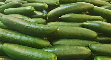 ABD'de 'salatalık' alarmı! Salmonella şüphesiyle ürünler raflardan toplatıldı