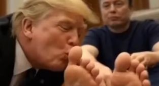 AI video of Trump kissing Elon Musk allegedly made 'on taxpayer dime'