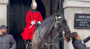All the times tourists have angered the King's Guard