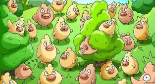 Can you spot the pig among the birds in just 13 seconds?