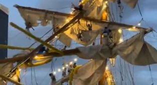 Cause of deadly Mexican Navy crash into Brooklyn Bridge 'revealed'