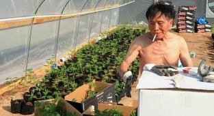 Chinese and Mexican drug cartels exploit woke American laws to cash in