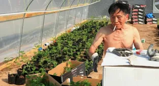 Chinese and Mexican drug cartels exploit woke American laws to cash in